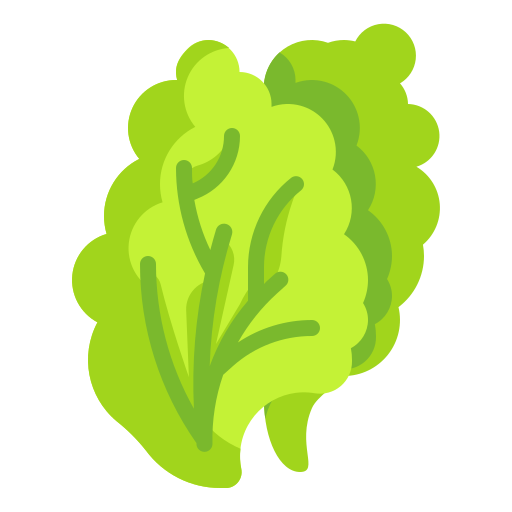 Lettuce Icon